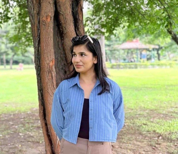 Skylines Stripes Cropped Shirt