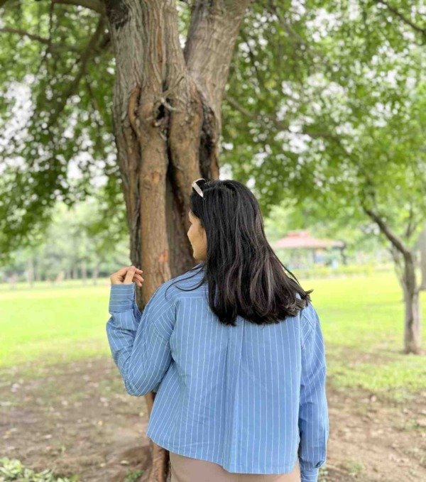 Skylines Stripes Cropped Shirt