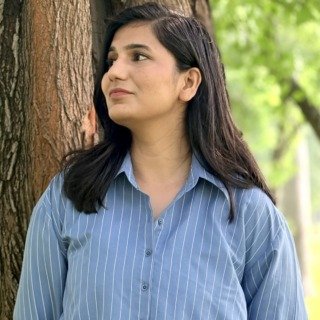 Skylines Stripes Cropped Shirt