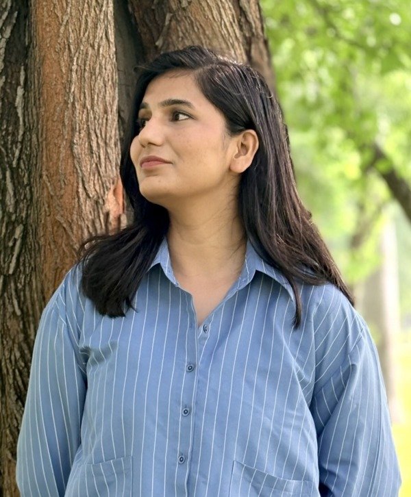 Skylines Stripes Cropped Shirt